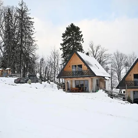 Hébergement de vacances Luksusowe Domki Pod Jaworem Witów